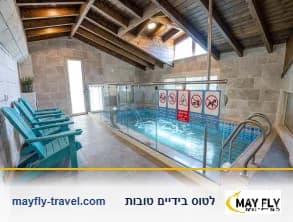 וילה עם בריכה מחוממת ומקורה בדלית אל כרמל